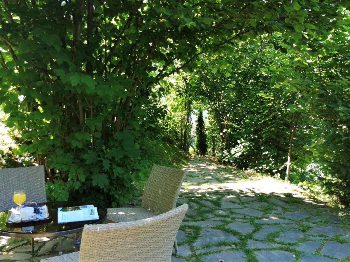 Greenhill Brašov Exteriér fotografie