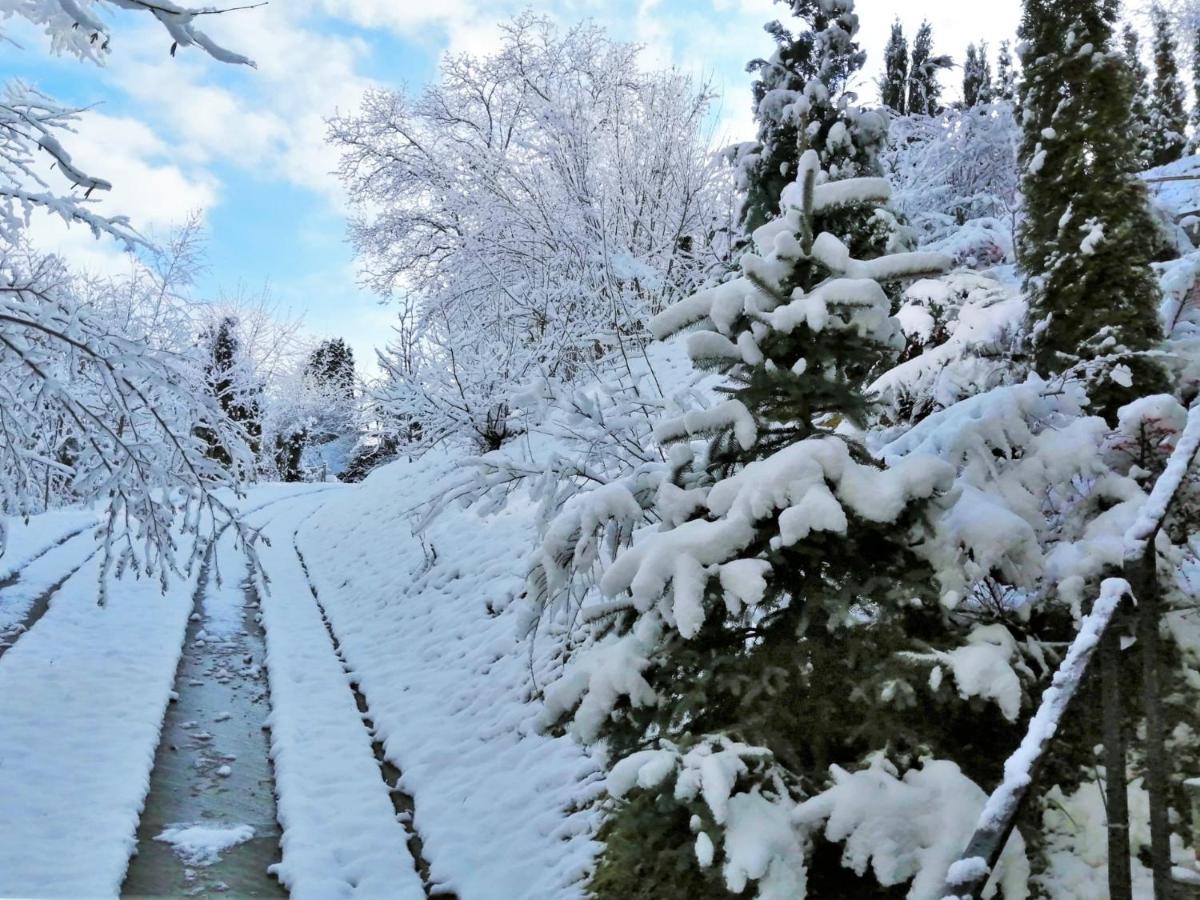 Greenhill Brašov Exteriér fotografie