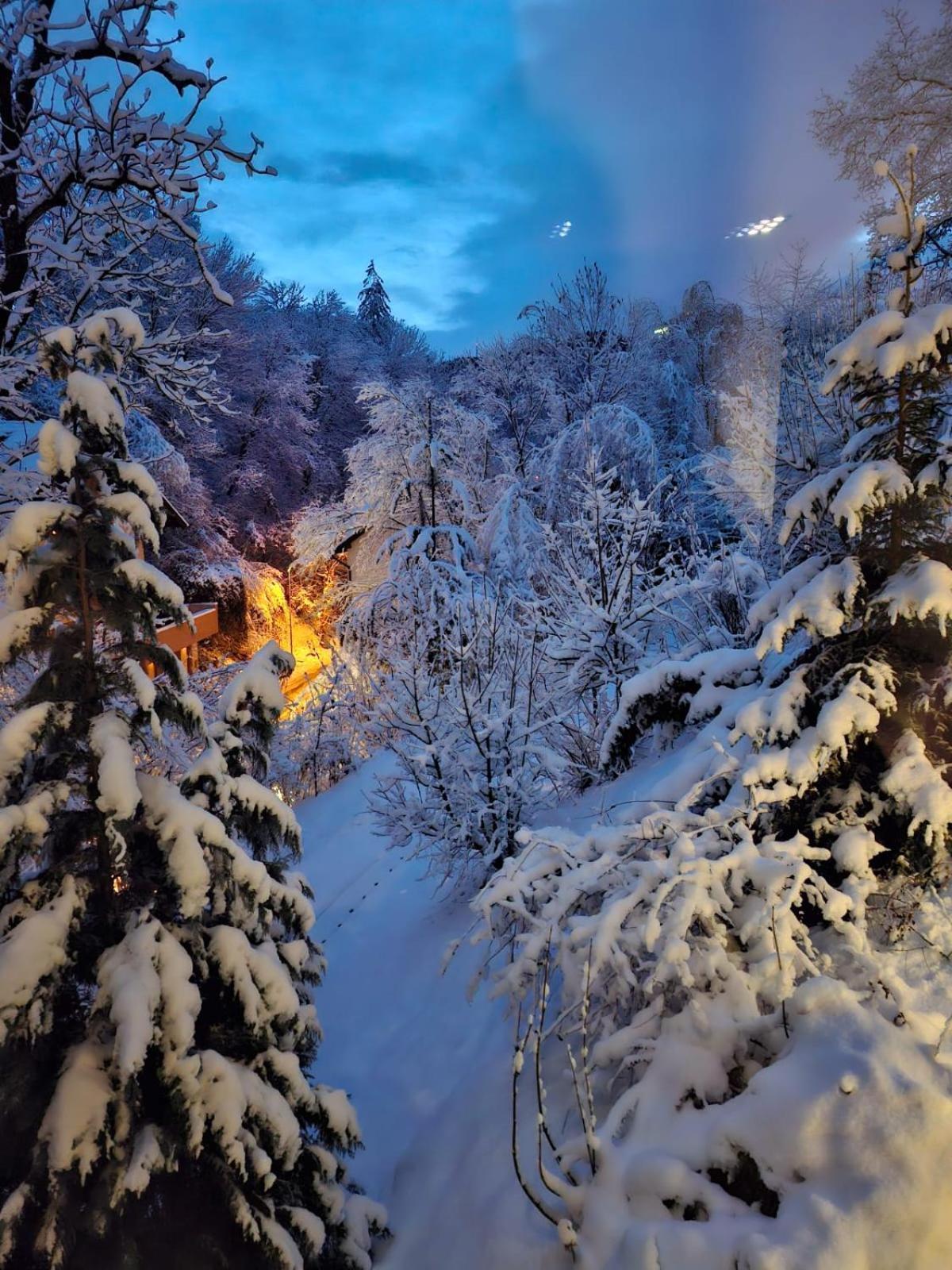 Greenhill Brašov Exteriér fotografie